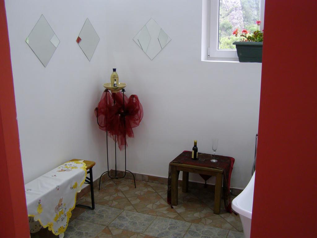 Hotel Wellness & Spa Angelo Gabriel Petrovac Zewnętrze zdjęcie