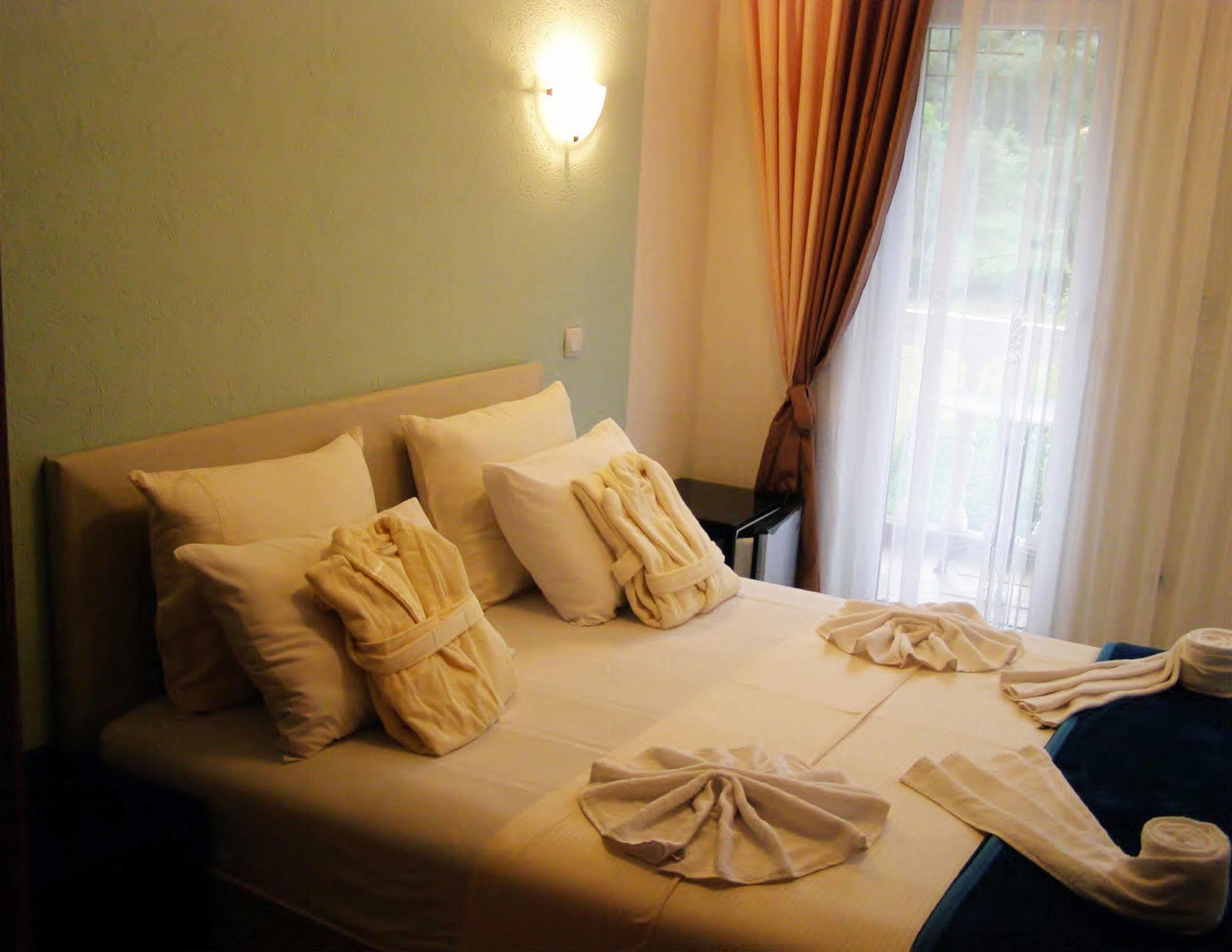 Hotel Wellness & Spa Angelo Gabriel Petrovac Zewnętrze zdjęcie