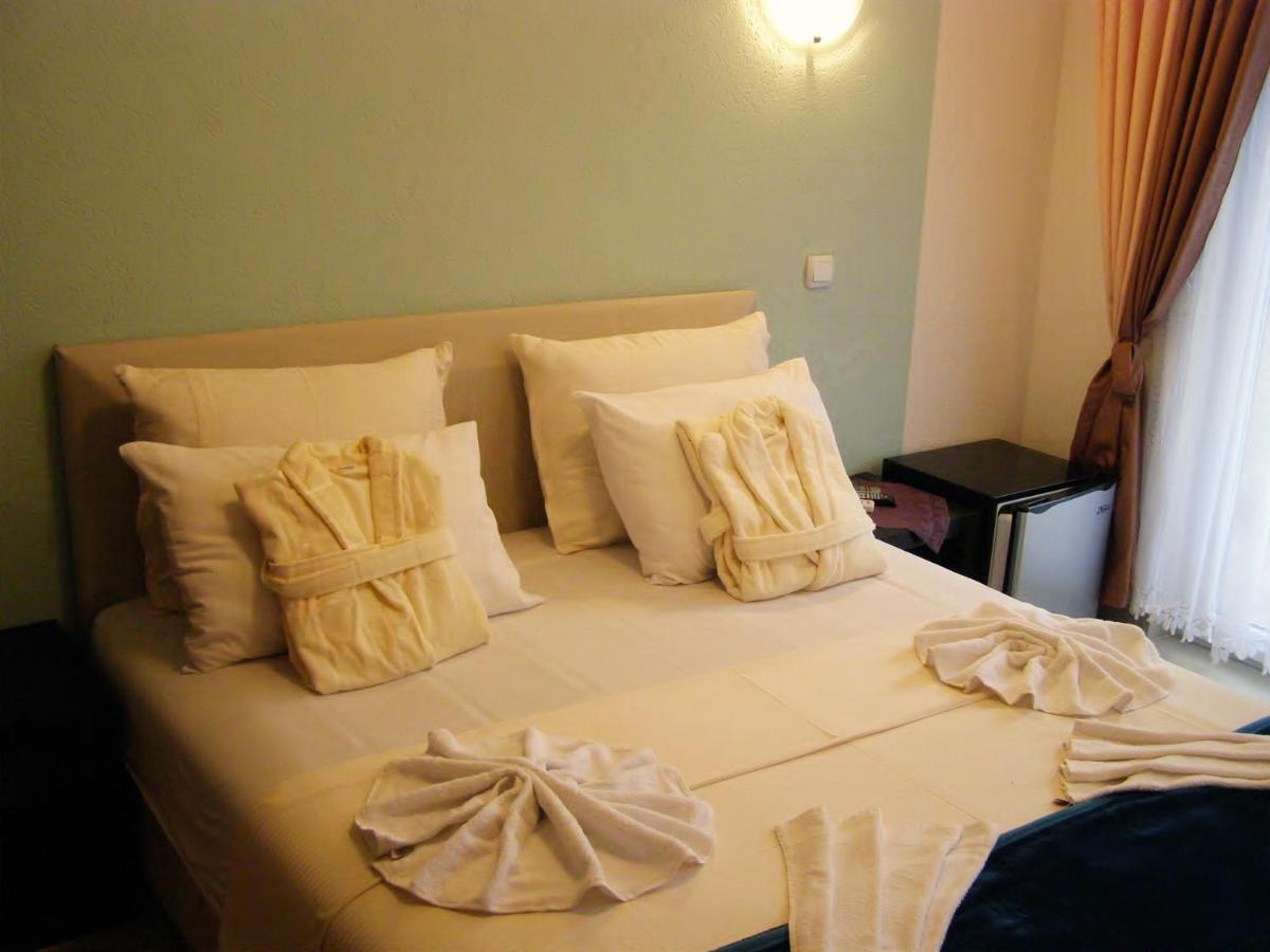 Hotel Wellness & Spa Angelo Gabriel Petrovac Zewnętrze zdjęcie